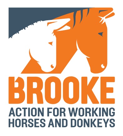 Brooke donkey charity